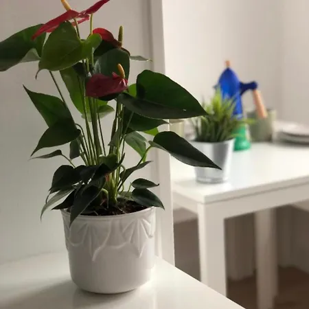 شقة Luxemburgo Huca اوفيدو